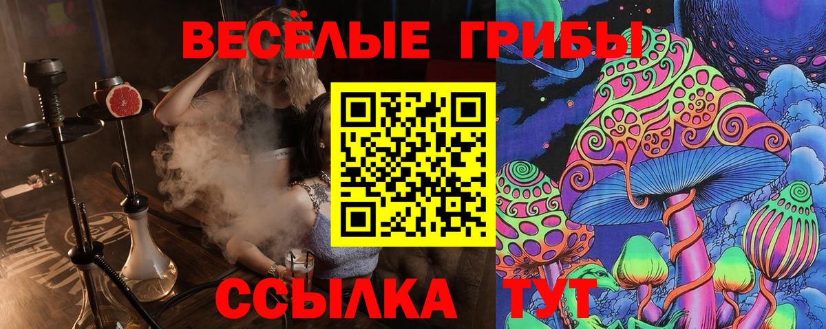 Галлюциногенные грибы GOLDEN TEACHER  Вход с VPN  Ейск 