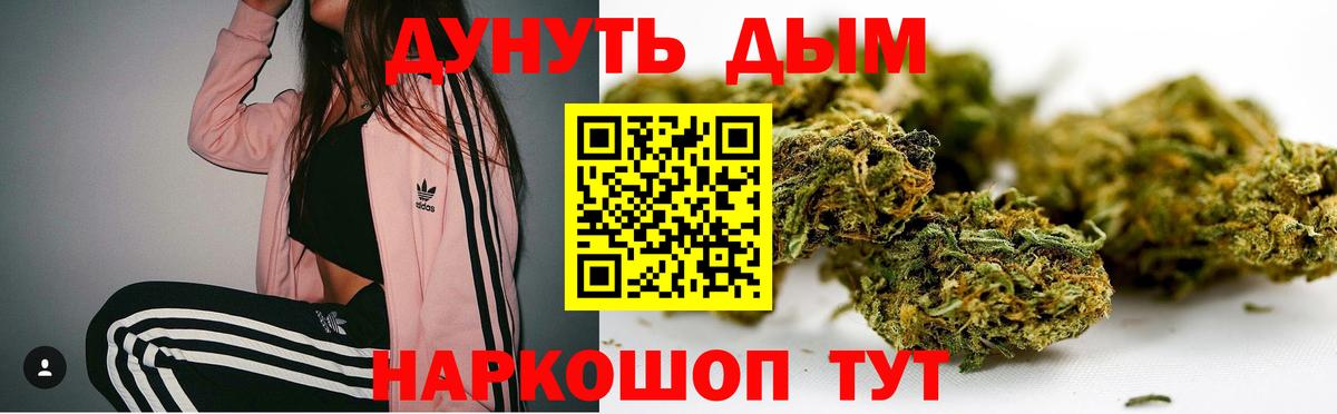 Конопля план  Бошки Шишки LSD WEED  Канабис VHQ  Ейск  Вход с VPN 